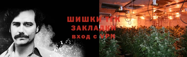 индика Богданович