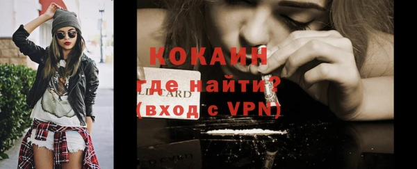 индика Богданович