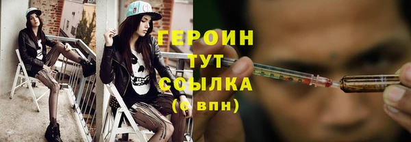 индика Богданович