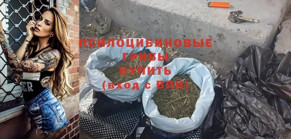 индика Богданович
