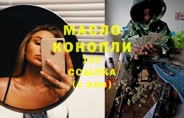 индика Богданович