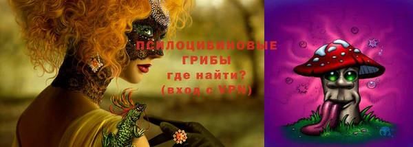 мдма Богородск