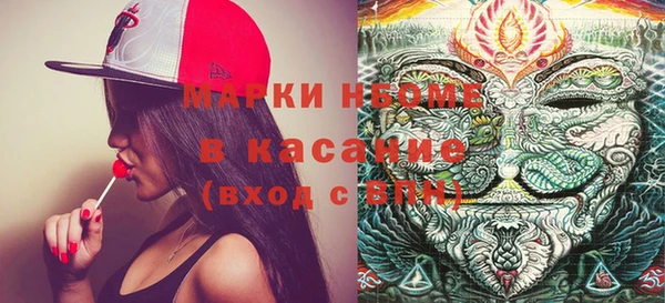 индика Богданович