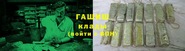 индика Богданович