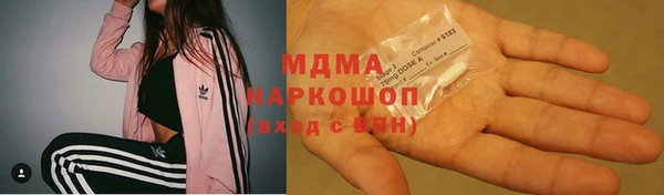 индика Богданович