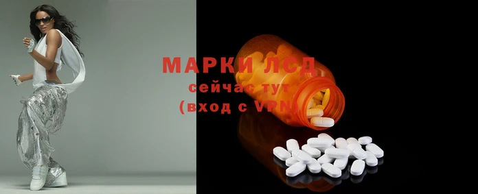 индика Богданович