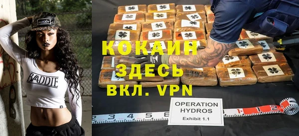 индика Богданович
