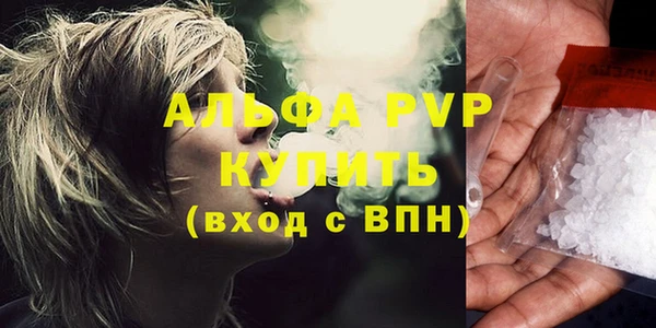 индика Богданович