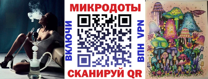 omg Оха Псилоцибиновые грибы Psilocybe