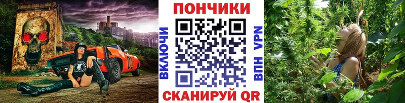 купить  цена  Оха  Бошки марихуана сатива 